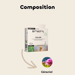Collier insectifuge grand chien