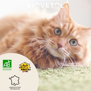 Comprimés b-ê intestinal chat bio