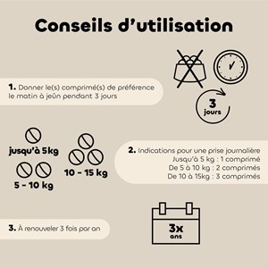 Comprimés b-ê intestinal chien bio