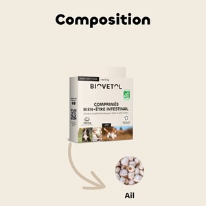 Comprimés b-ê intestinal chien bio