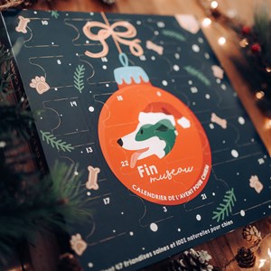 Calendrier de l'avent pour chien