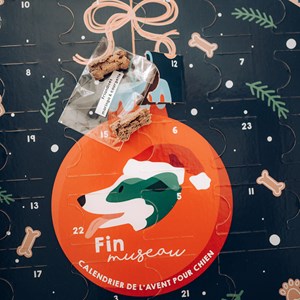 Calendrier de l'avent pour chien