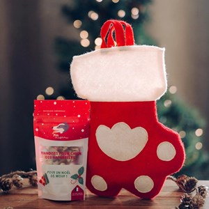 Friandise & chaussette de noël pour chien