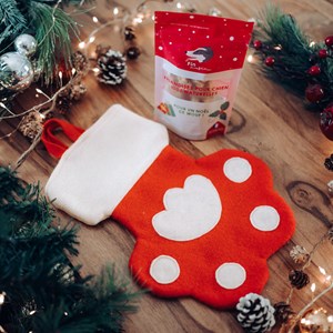 Friandise & chaussette de noël pour chien