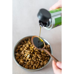 Huile de chanvre bio pour chien