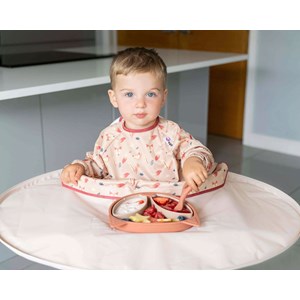 Assiette à compartiments ventousée