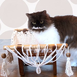 Hamac à chat écru avec support en bois