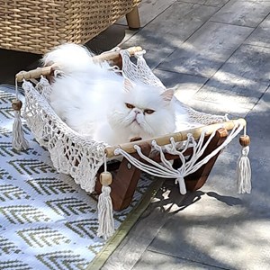 Hamac à chat écru avec support en bois