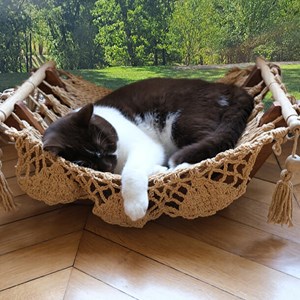 Hamac à chat taupe avec support en bois