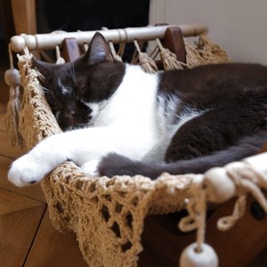 Hamac à chat taupe avec support en bois