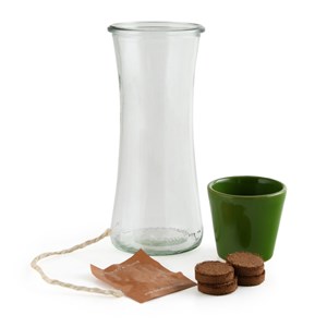 Jardin autonome : basilic pourpre - bio