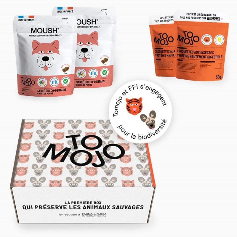 Tomojo - Moush coffret chien decouverte