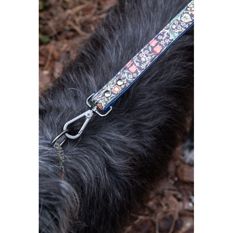 Maison Royal Garden - Grande laisse pour chien w. Morris