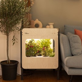 Potager d'intérieur liv - vitré