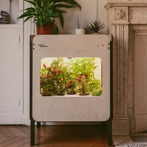 Potager d'intérieur liv - vitré