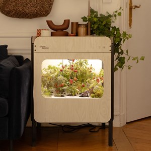 Potager d'intérieur liv - vitré