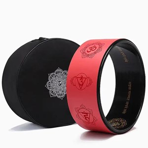 Roue yoga, gym & fitness 7 chakras +sac
