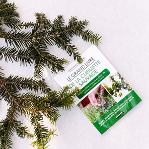 Coffret exception cueillette noël bio