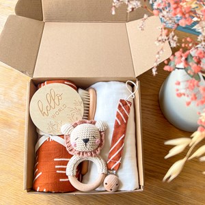 Coffret de naissance bébé lion