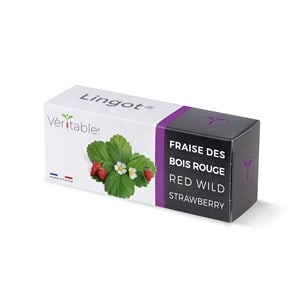 Lingot fraise des bois rouge