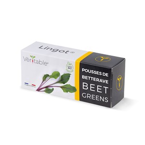 Lingot pousses de betterave bio