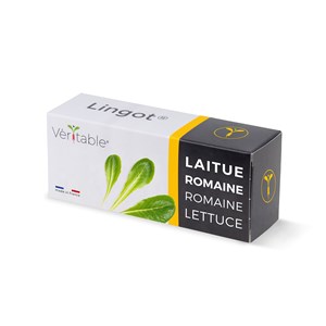 Lingot laitue romaine
