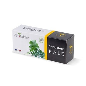 Lingot chou kale bio