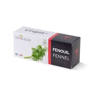 Lingot fenouil bio