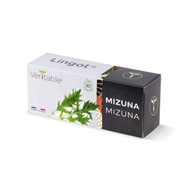 Lingot mizuna bio