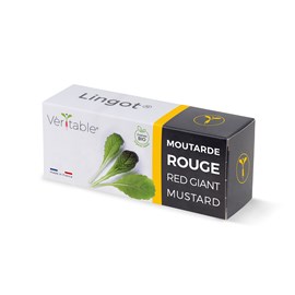 Lingot moutarde rouge bio