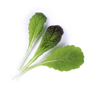 Lingot moutarde rouge bio