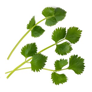 Lingot anis vert bio