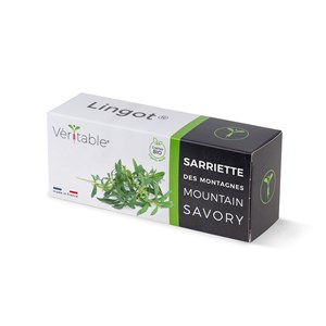 Lingot sarriette des montagnes bio