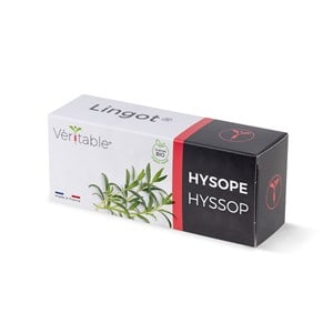 Lingot hysope bio