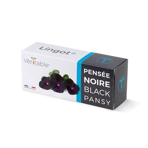 Lingot pensée noire
