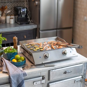 Plancha électrique inox 2 thermostats