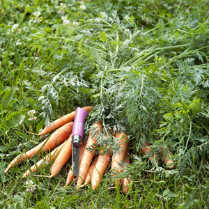 Opinel mon premier opinel - fushia