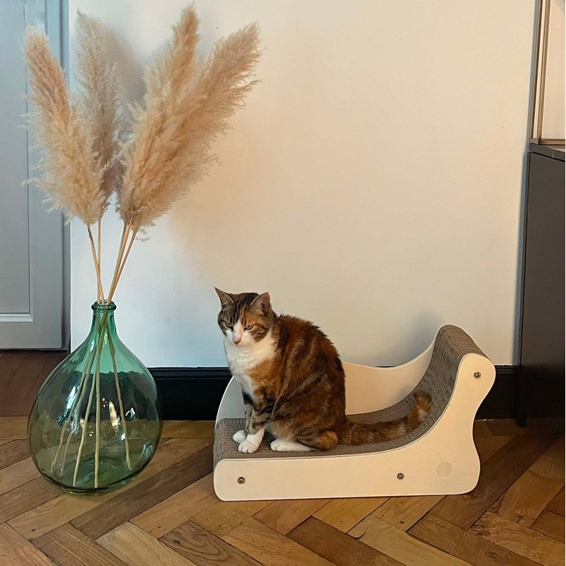 Homycat - Griffoir canapé - s