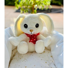 Peluche bouillotte déhoussable lapinou
