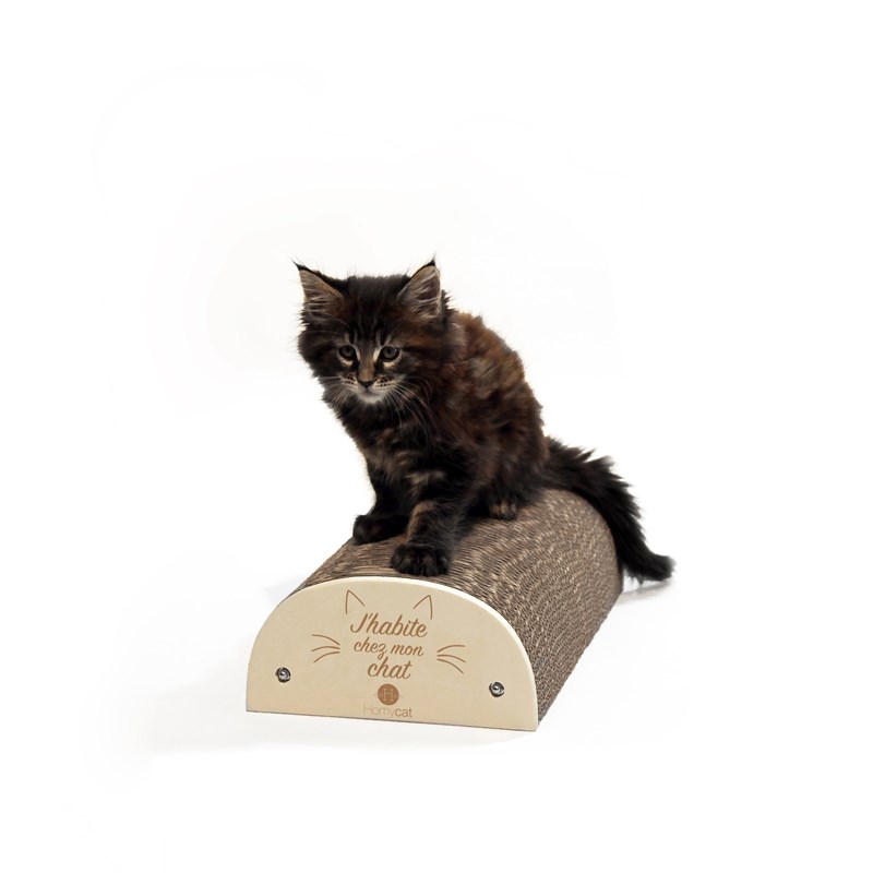 Homycat - Griffoir j'habite chez mon chat