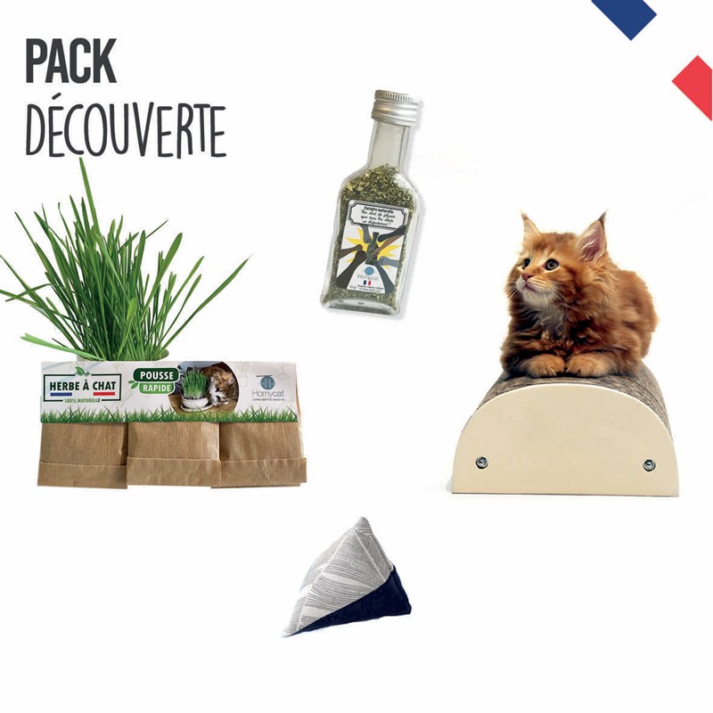Homycat - Pack découverte