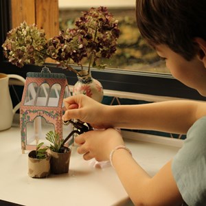 Kit i do it myself ma serre végétal