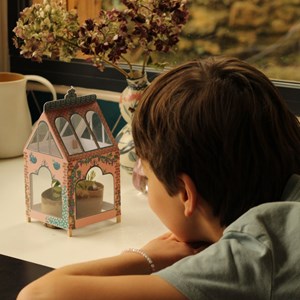 Kit i do it myself ma serre végétal