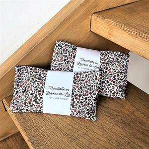 Bouillotte en graines de lin 20x40