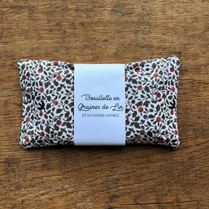 Bouillotte en graines de lin 10x20