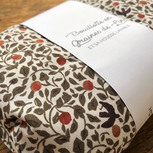 Bouillotte en graines de lin 10x20