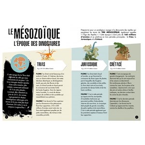 L'ère des dinosaures - le tricératops