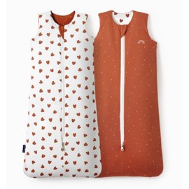 Gigoteuse 4saisons terra-cœurs6-18 mois