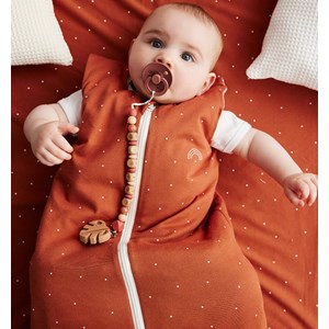 Gigoteuse 4saisons terra-cœurs6-18 mois