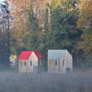 E-carte cadeau greengo 25€